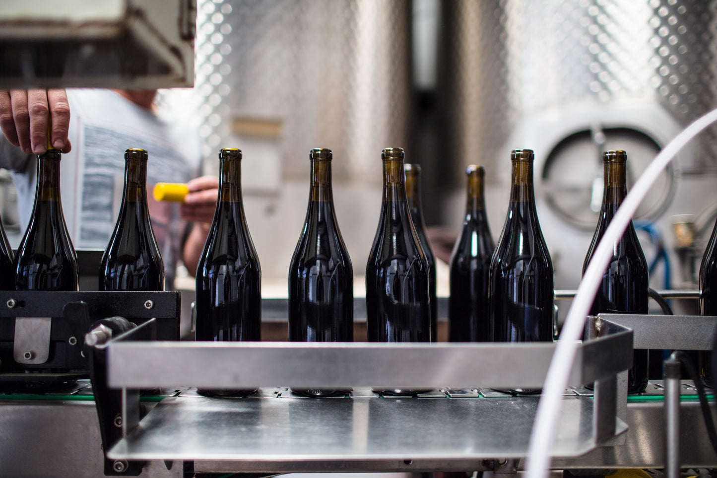 New World Wine Regions Fall 2025