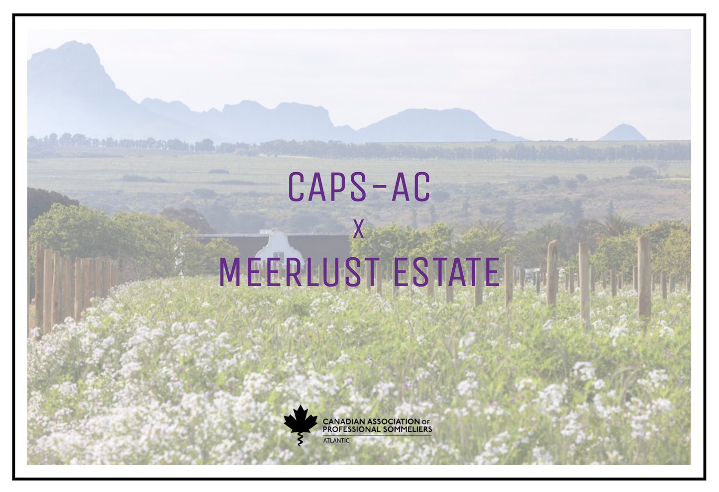 CAPS-AC TASTING - MEERLUST ESTATE