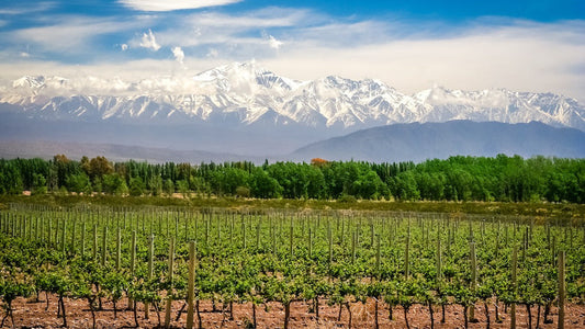 New World Wine Regions Fall 2025