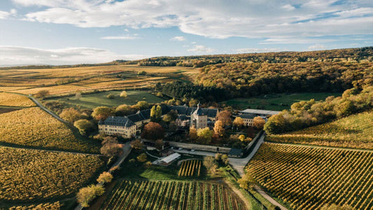 Ancient World / Old World Wine Regions Winter 2026